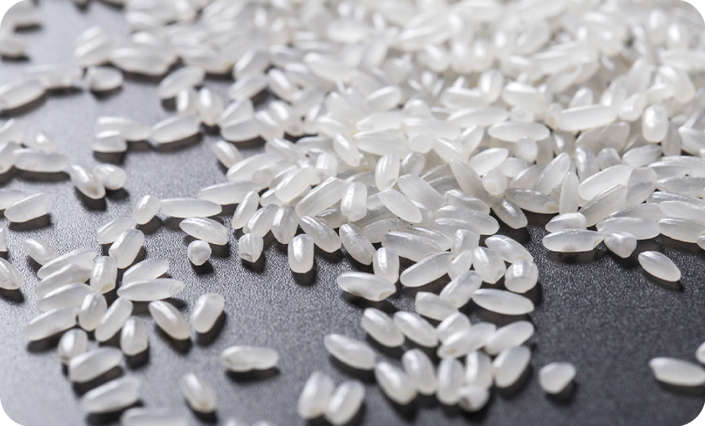 食物和饮料加工