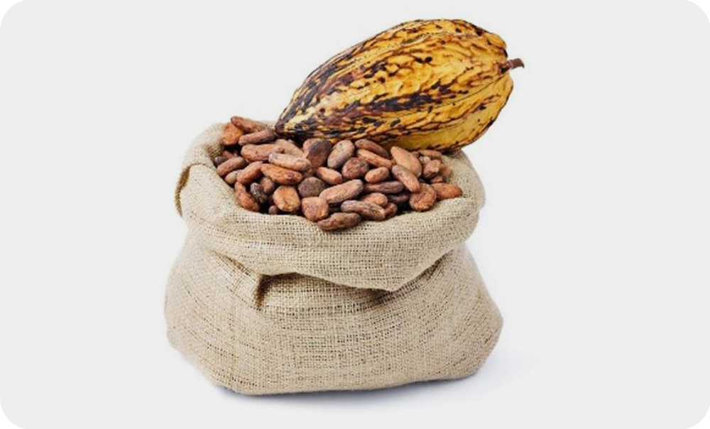 食品和饮料加工2